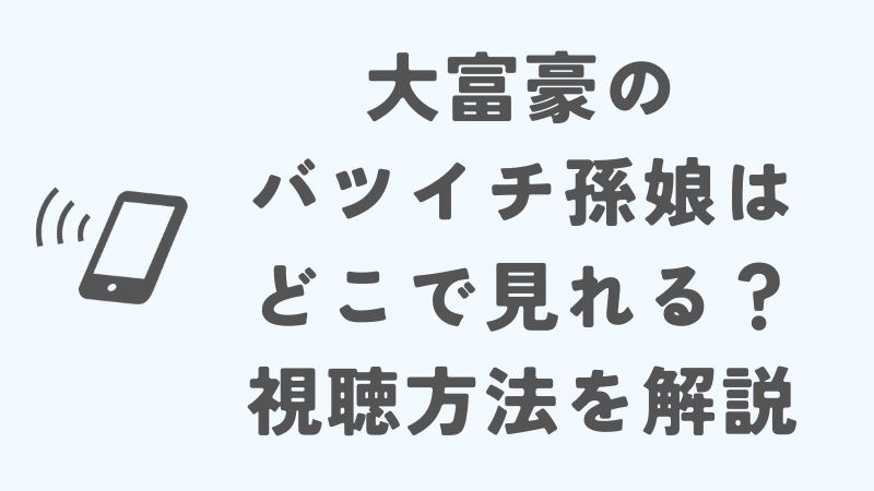 大富豪のバツイチ孫娘はどこで見れる？視聴方法を徹底解説