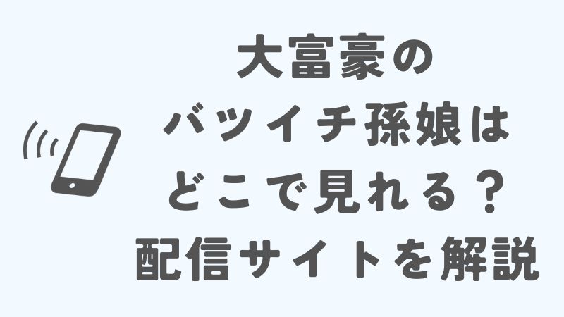 大富豪のバツイチ孫娘はどこで見れる？配信サイトや利用方法