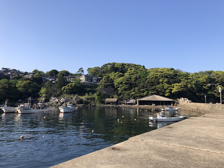 新井崎漁港（京都・伊根）の釣り場情報　釣りポイント