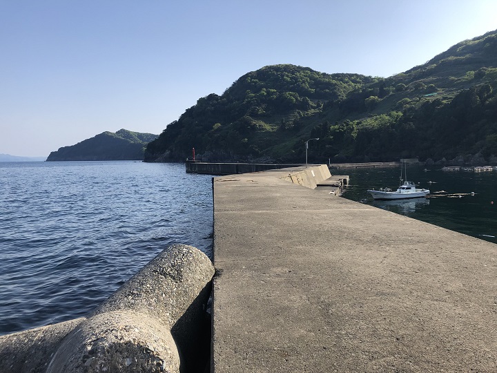 新井崎漁港（京都・伊根）の釣り場情報　釣りポイント