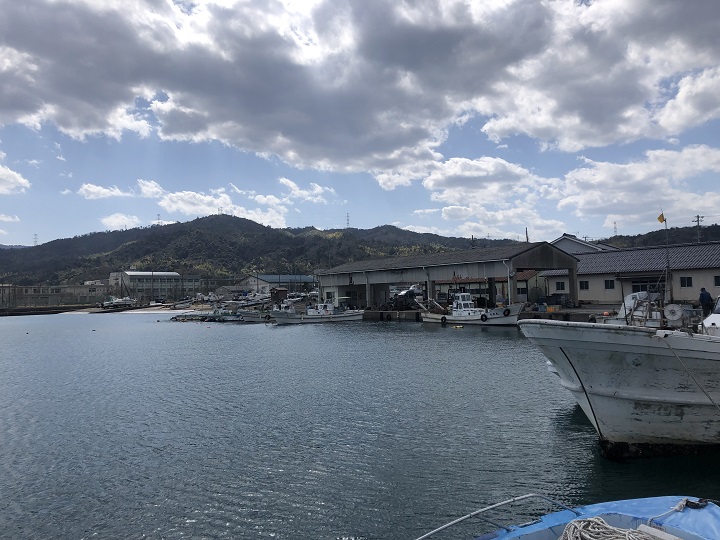 栗田漁港（京都・宮津）の釣り場情報　堤防・漁協前