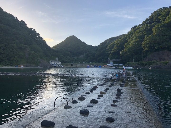 釣りファミ　釣った魚を喰らう！真夏の恒例イベント、2019海キャンプin兵庫･浜坂3日目　最終日