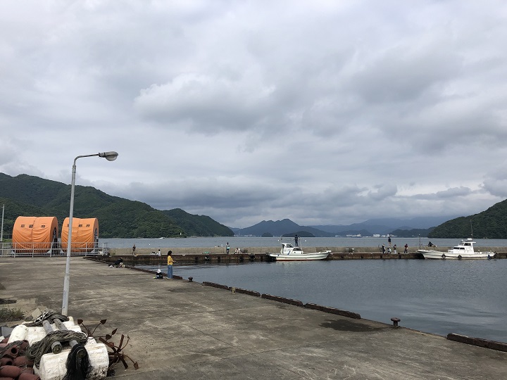 釣りファミ日記　釣り場情報　白杉漁港（京都･舞鶴）
