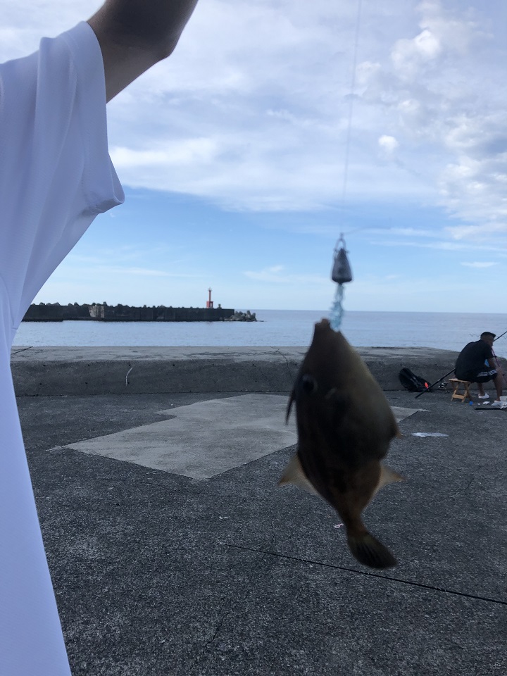 釣りファミ　釣った魚を喰らう！真夏の恒例イベント、2019海キャンプin兵庫・浜坂1日目
