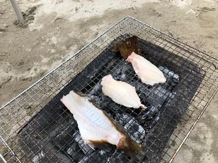 釣りファミ　釣った魚を喰らう！真夏の恒例イベント、2019海キャンプin兵庫･浜坂3日目　最終日