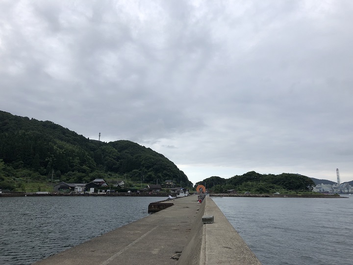 釣りファミ日記　釣り場情報　白杉漁港（京都･舞鶴）