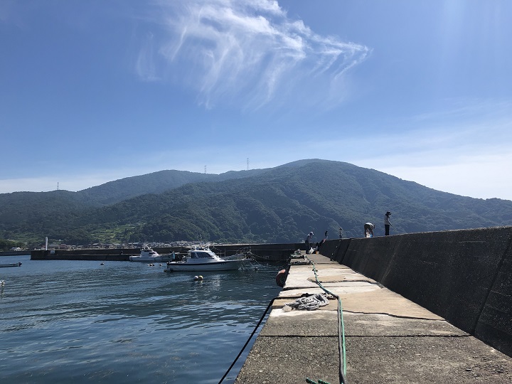 小橋漁港（京都・舞鶴）の釣り場情報　大波止14