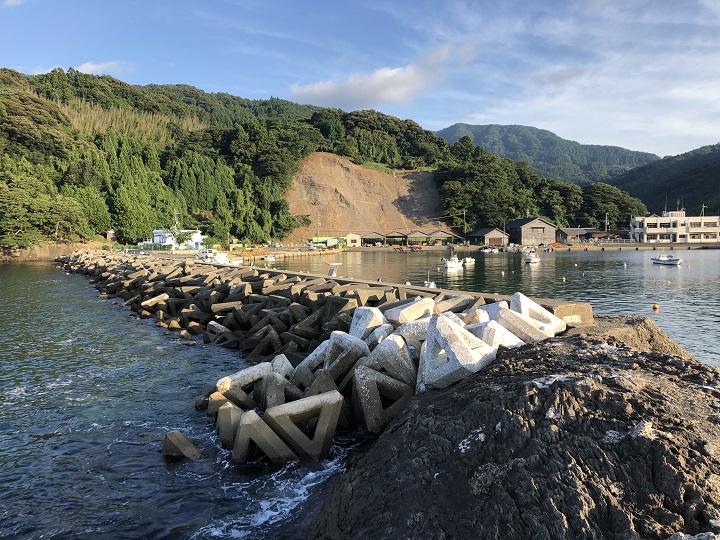 舞鶴田井漁港（京都・舞鶴）の釣り場情報