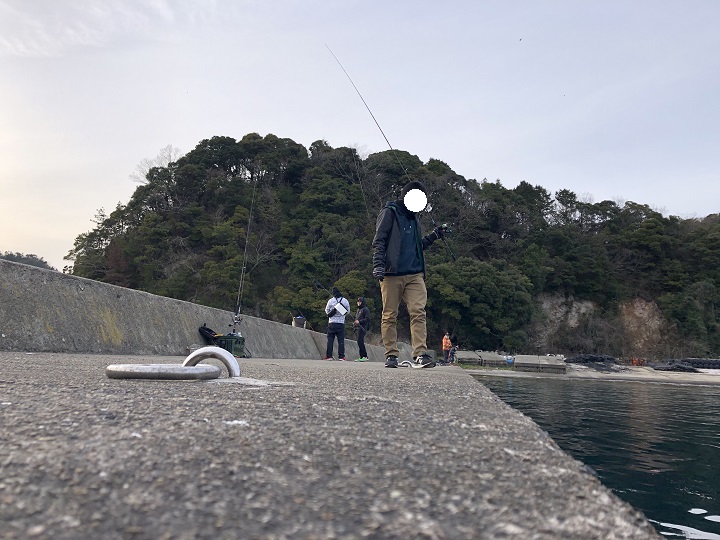 京都・伊根の伊根網干場でアオリイカを釣る