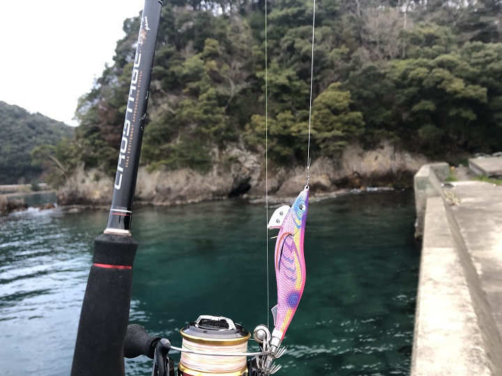 京都の釣り場、伊根網干場でデイエギングでアオリイカを狙う　YAMASHITA　スケスケキャンディ
