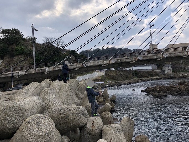 釣りファミ　間人漁港（京都・京丹後）の釣り場情報　橋の下