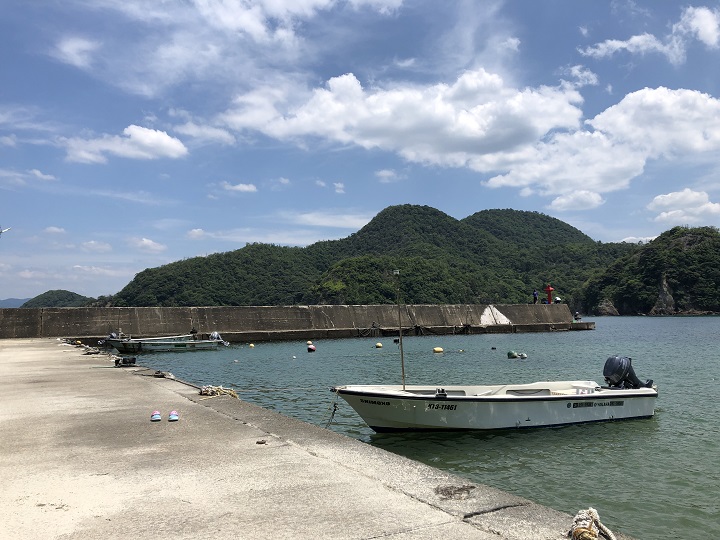蒲井漁港（京都・京丹後）の釣り場情報
