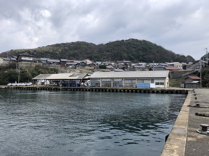 釣りファミ　間人漁港（京都・京丹後）の釣り場情報　橋の下