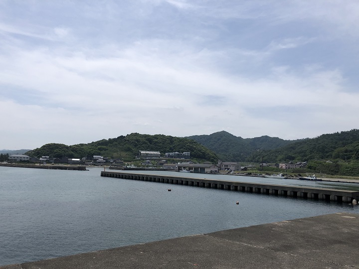 浅茂川漁港（京都・京丹後）の釣り場情報　大波止