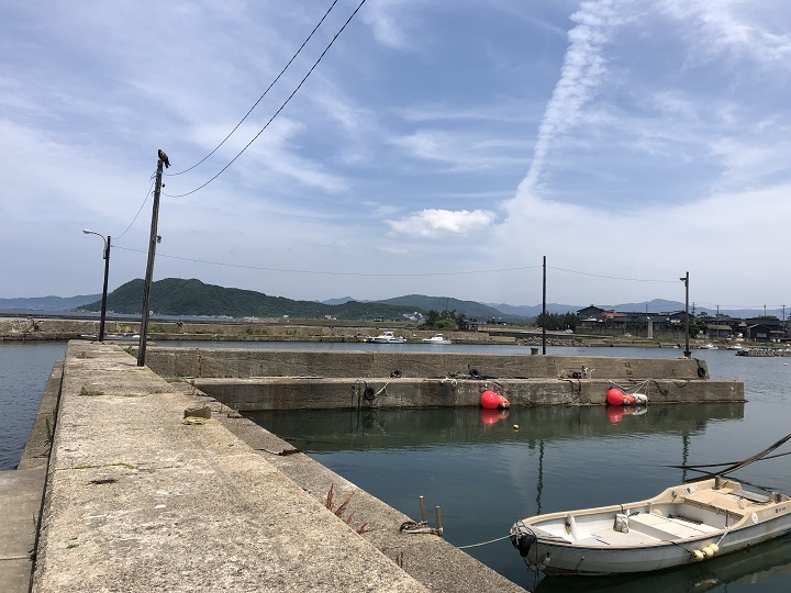 浅茂川漁港（京都・京丹後）の釣り場情報　漁協前小波止
