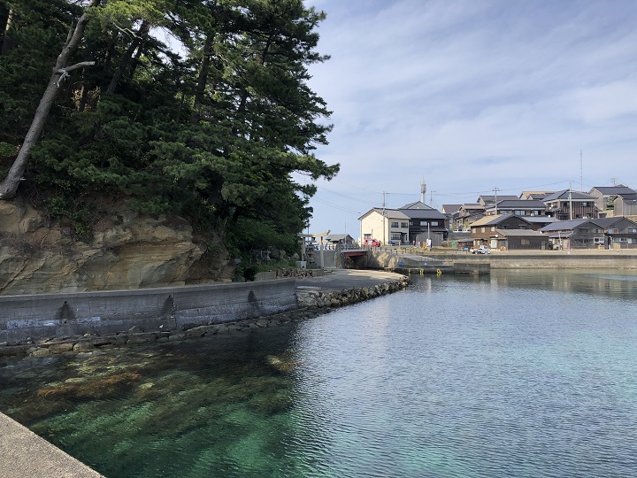 釣りファミ　城島公園・小間漁港（京都・京丹後）の釣り場情報　