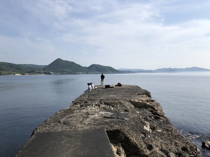 釣りファミ　城島公園・小間漁港（京都・京丹後）の釣り場情報　