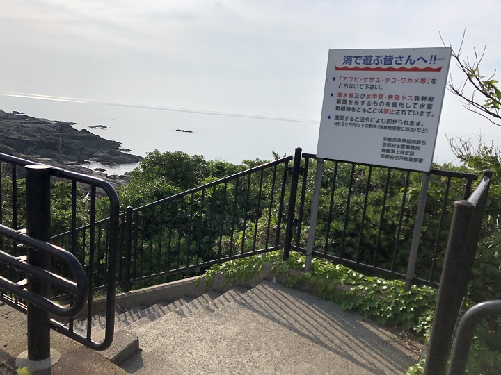 ミ　間人漁港（京都・京丹後）の釣り場情報　親水プール