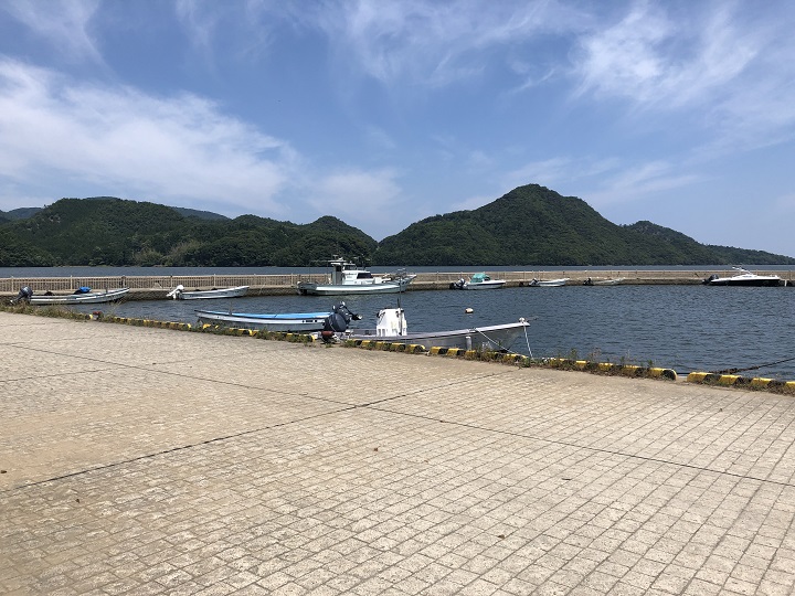久美浜公園（京都・京丹後）の釣り場情報